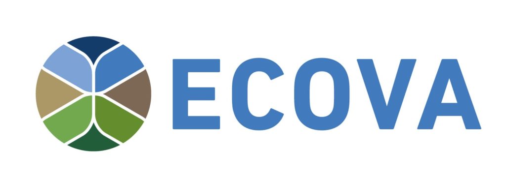 WhatsApp Image 2020-07-19 at 1.03.09 AM